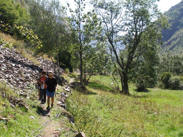 1.3 Prop de Graus a 1320 m