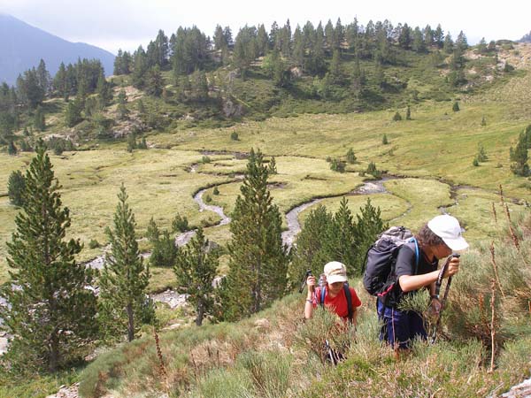 2.2 Pleta de Guerossos 2020 m