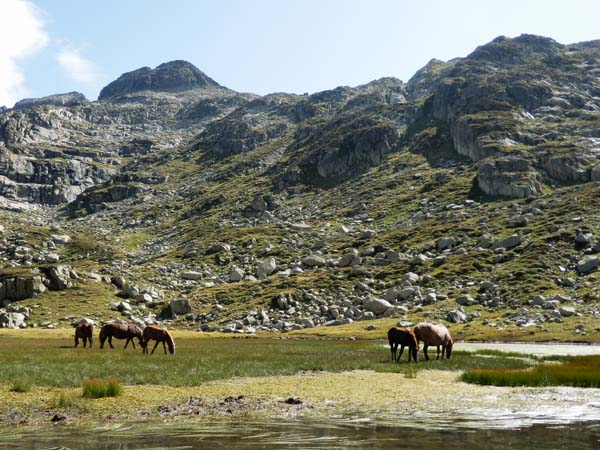 0.13 Estany de Guilo