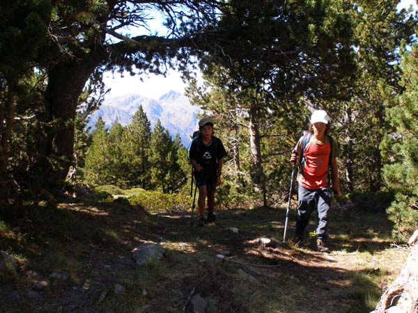 5.13 Prop de la cabana a 2100 m