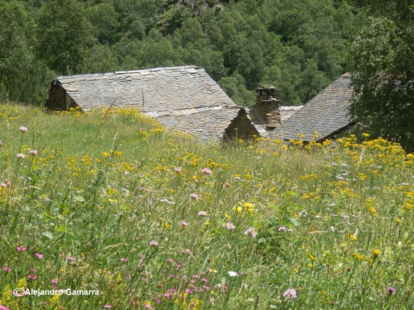 4.13-bordes-de-noarre