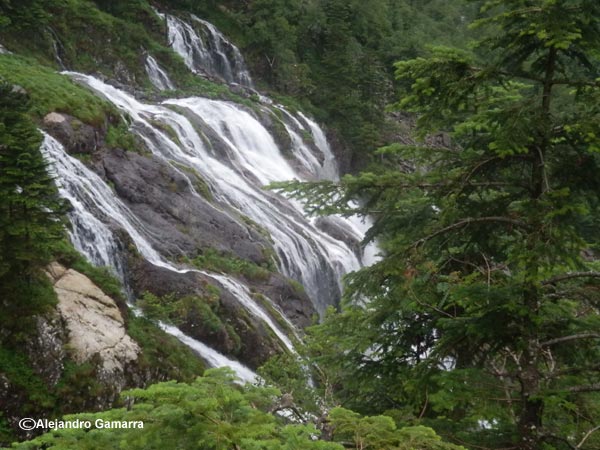 2.11-cascada-d-ars