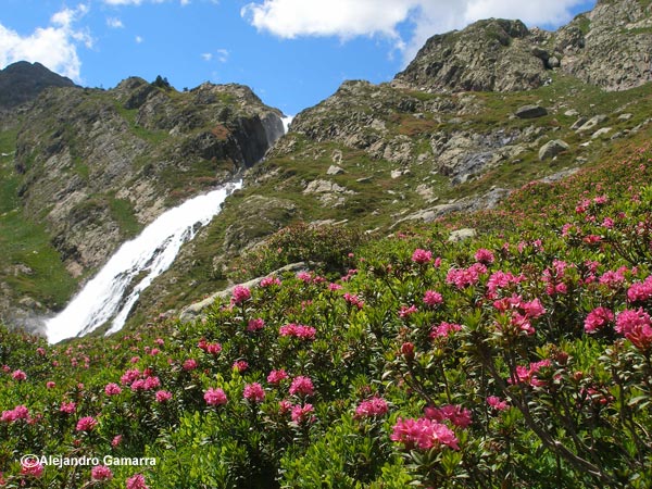 2.2-cascada-de-certascan