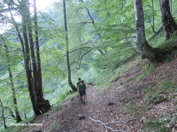 4.1-vall-de-ossese