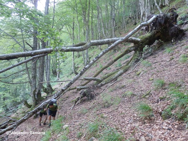 4.2-vall-de-ossese