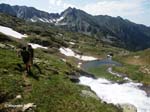 1.4-estany-blau